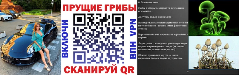 Галлюциногенные грибы MAGIC MUSHROOMS  shop телеграм  Михайловск 